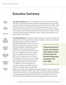 example of an executive summary big data analytics research report