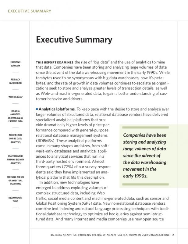 Example Of An Executive Summary Template Business