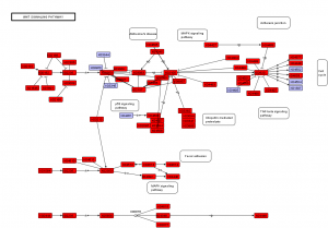 example of an introduction refnet example