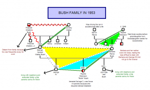 example of genogram bush triangle