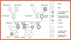 example of genogram genogram examples genogram