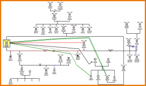 example of genogram genogram templates einstein