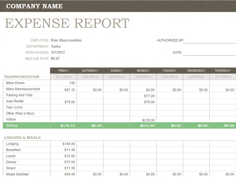 excel expense report