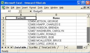 excel time card template datatable