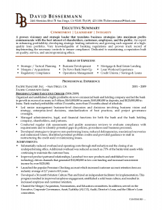 executive resume samples executive summary resume example with great template