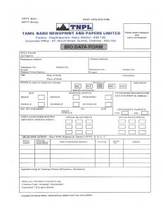 executive resume template company biodata format l