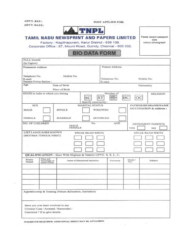 executive resume template