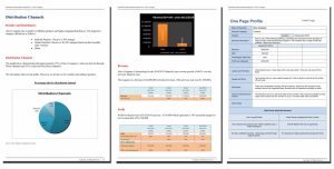 executive summary format example im report x