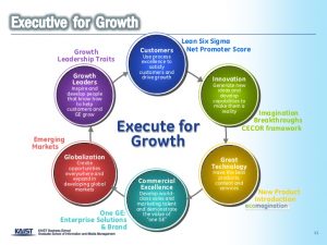 executive summary marketing plan ges growth strategy