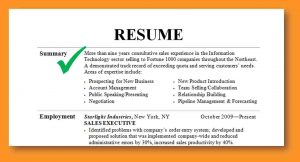 executive summary samples resume summary examples resume summary examples resumesummary