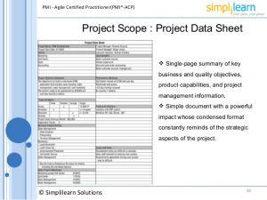 executive summary template word agile project management framework