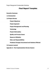 executive summary template word project management sample