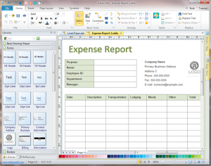 expense report templates excel expense report form software