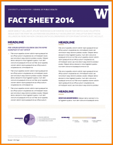 fact sheet design fact sheet design template factsheet template a screen