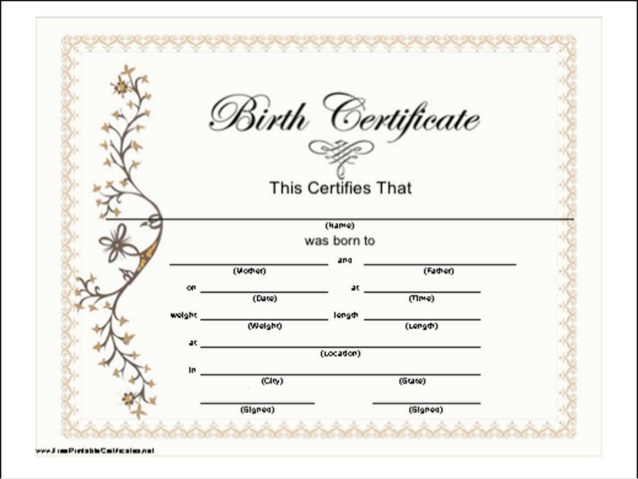 Novelty Birth Certificate Template