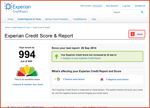 fake-credit-report-template-business