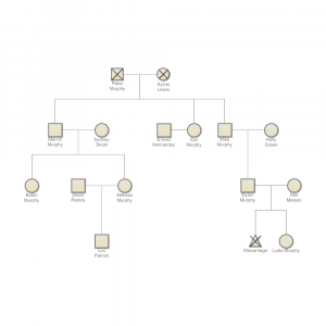 family genogram example edb bf b b abfe