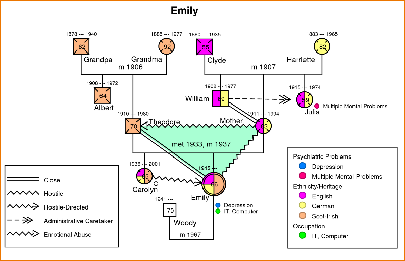 Family Genogram Example | Template Business