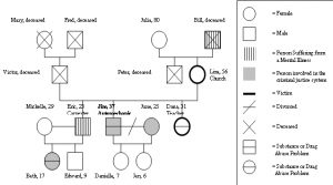 family genogram example genogram