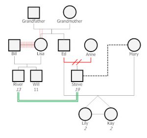 family genogram example genogram example