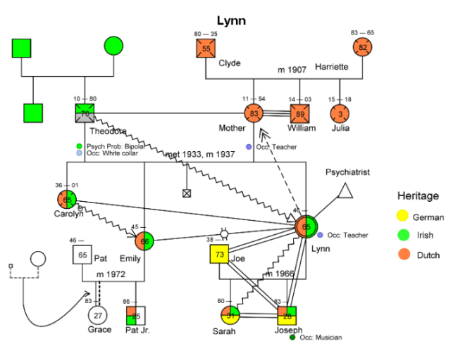 family genogram example