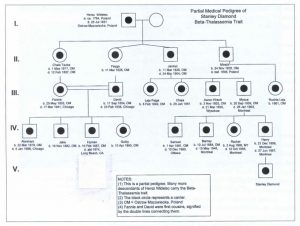 family genogram maker genogram