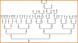 family genogram maker how to make a genogram marlin genogram