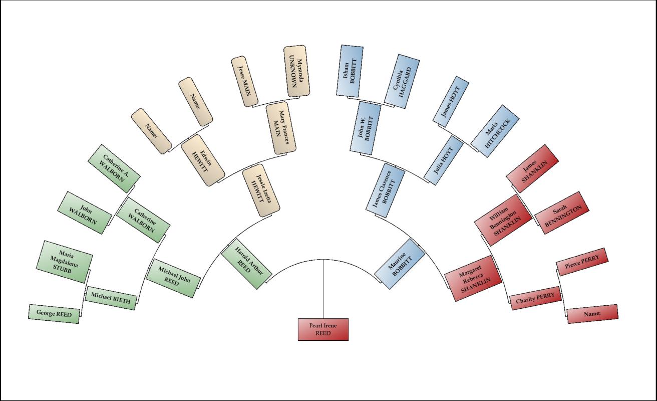 family tree chart maker