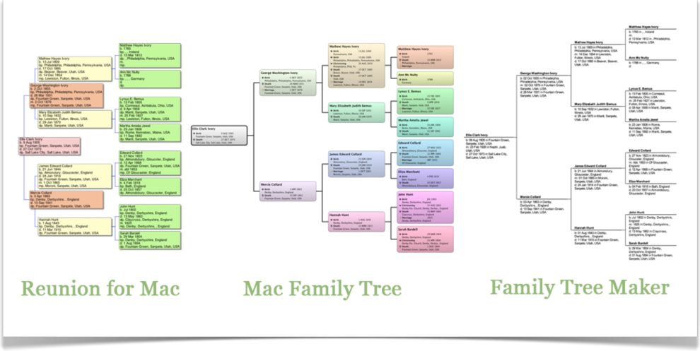 family-tree-chart-maker-template-business