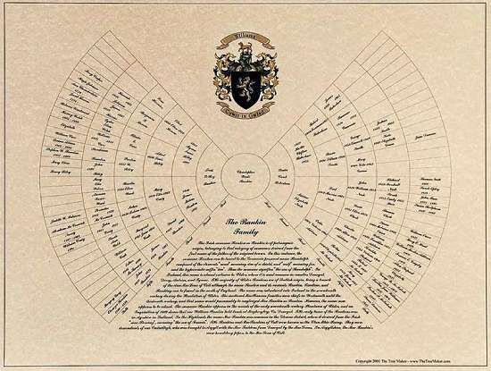 family tree design