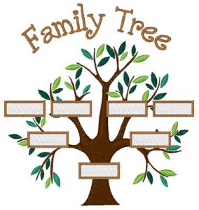 family tree design bnc