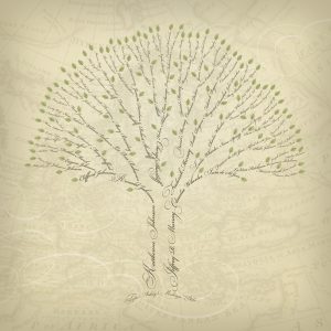 family tree design legacyfamilytrees