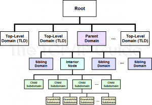 family tree diagram dnstreefamily