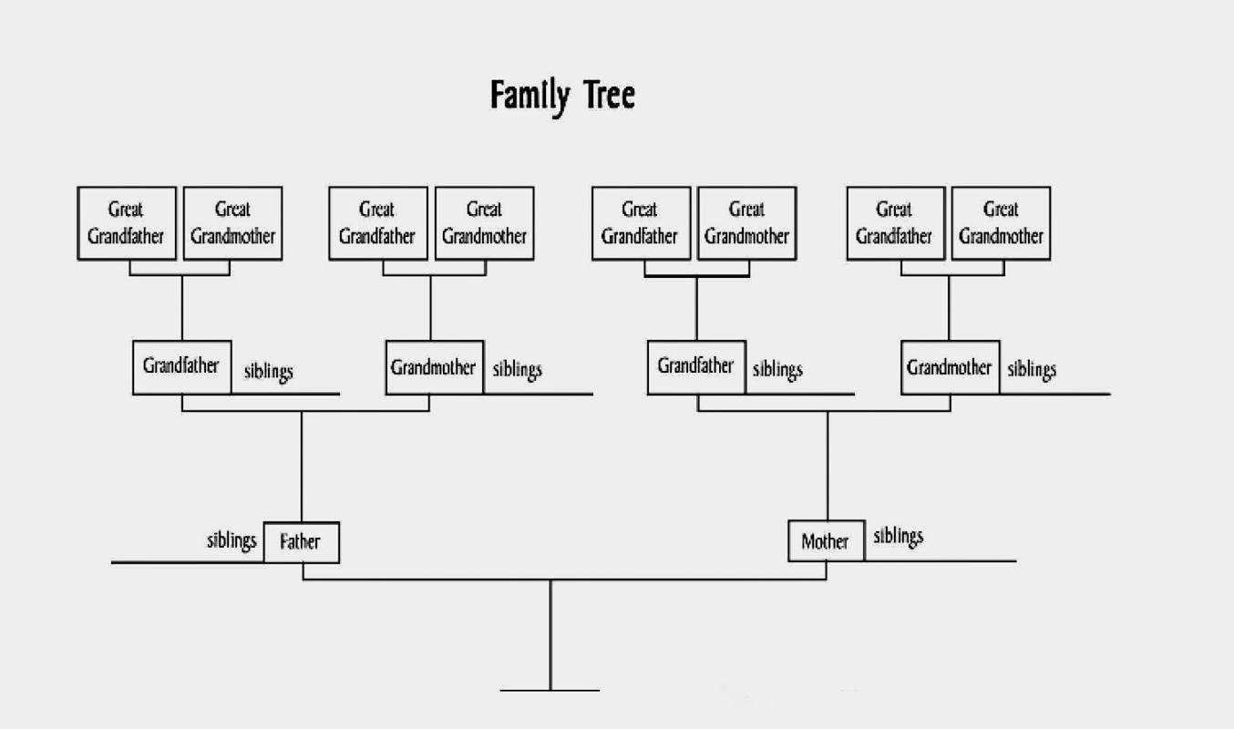 Structure Of Tree Diagram
