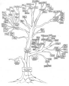 family tree diagram jrh family tree