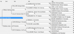 family tree excel mapping pedigree chart