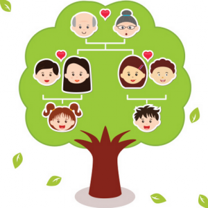 family tree for kids nieregot