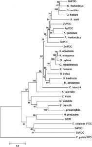 family tree formate article fig html