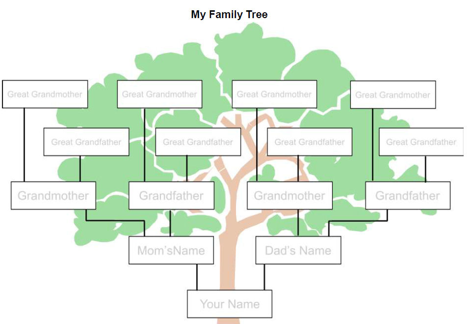 Family Tree Templates Template Business