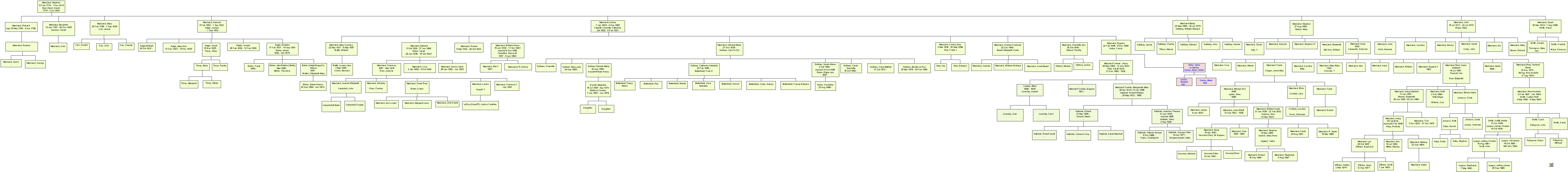 family tree with pictures