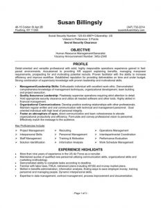 federal resume example executive resume templates format of federal government resume