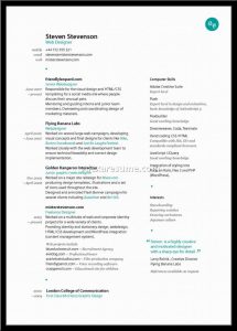 federal resume template graphic designer resume sample best examples for fresher design templates x