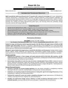 federal resume template software development resume manager lead engineer