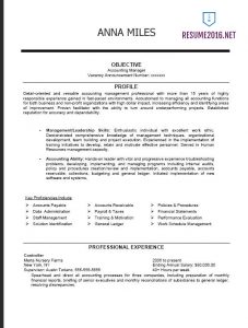 federal resume template federal resume example