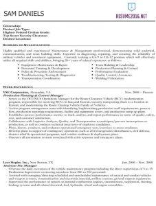 federal resume template federal resume example