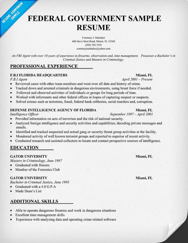 federal government resume example pdf