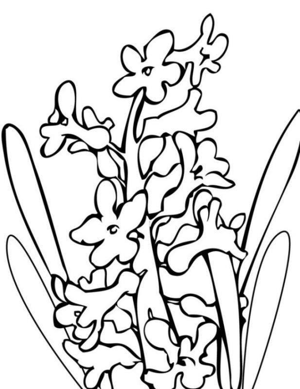 Download Flower Coloring Pages Pdf | Template Business