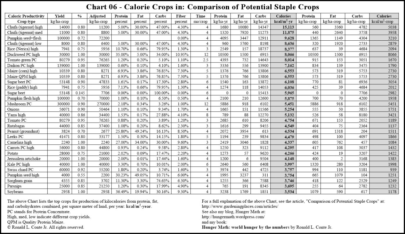 Food Calorie Chart Template Business