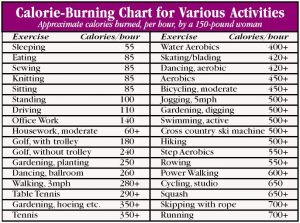 food calories chart calorie counter chart