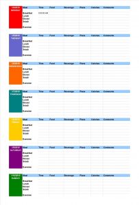 food diary template food diary template